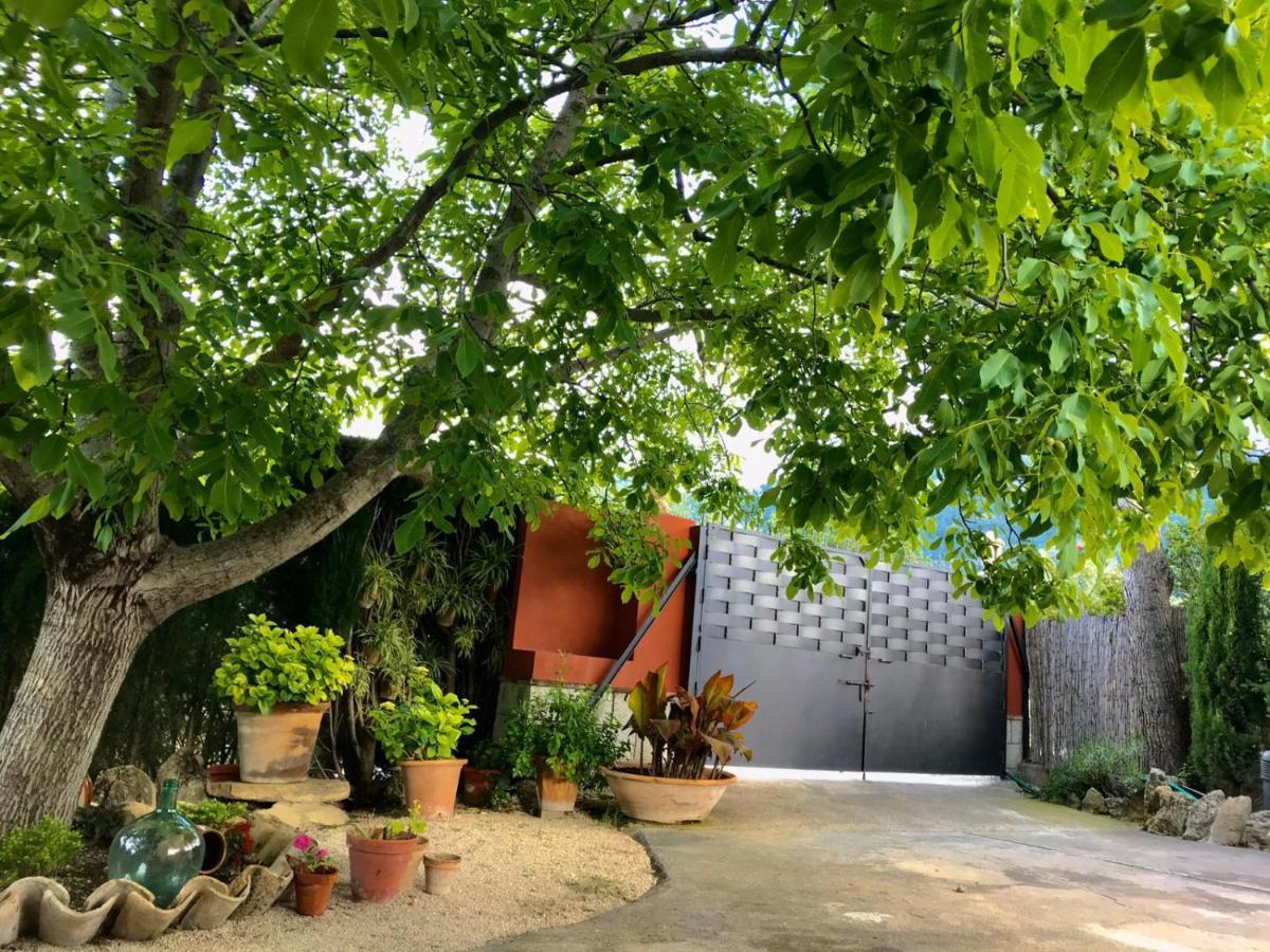 カソルラ Casa El Acebucheヴィラ エクステリア 写真